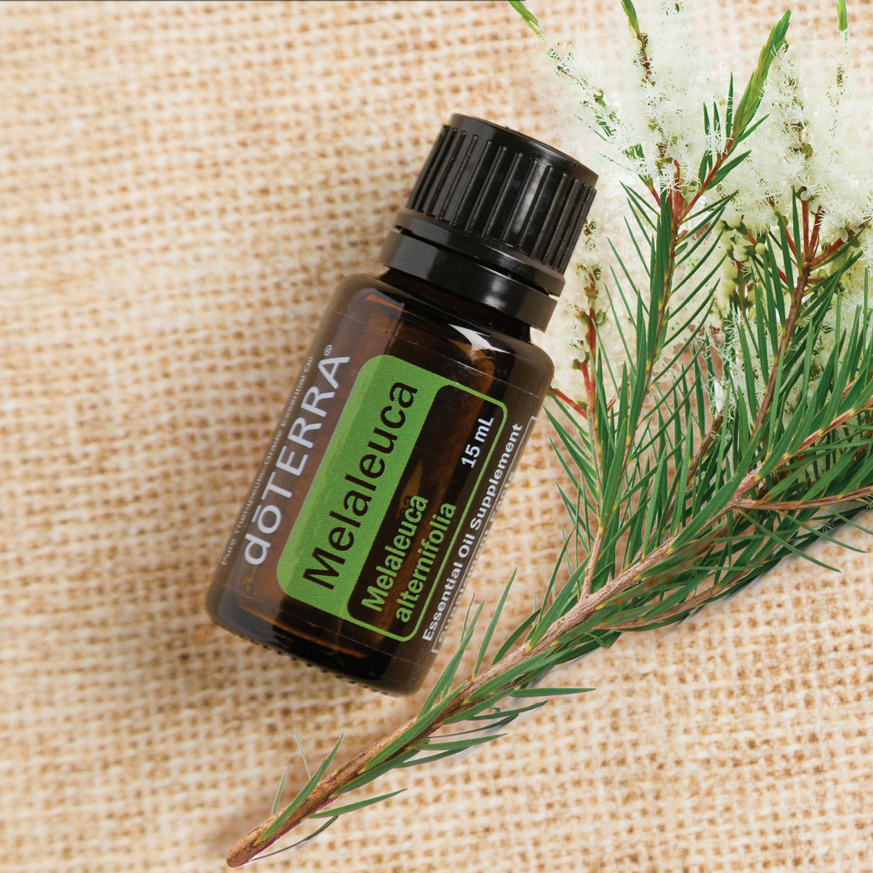 doTERRA melaleuca essential oil