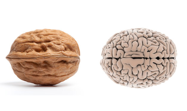 walnut-brainfoods