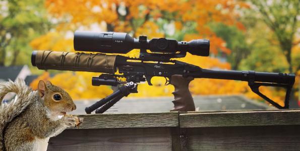 guides and adventures of the edgun leshiy - blog