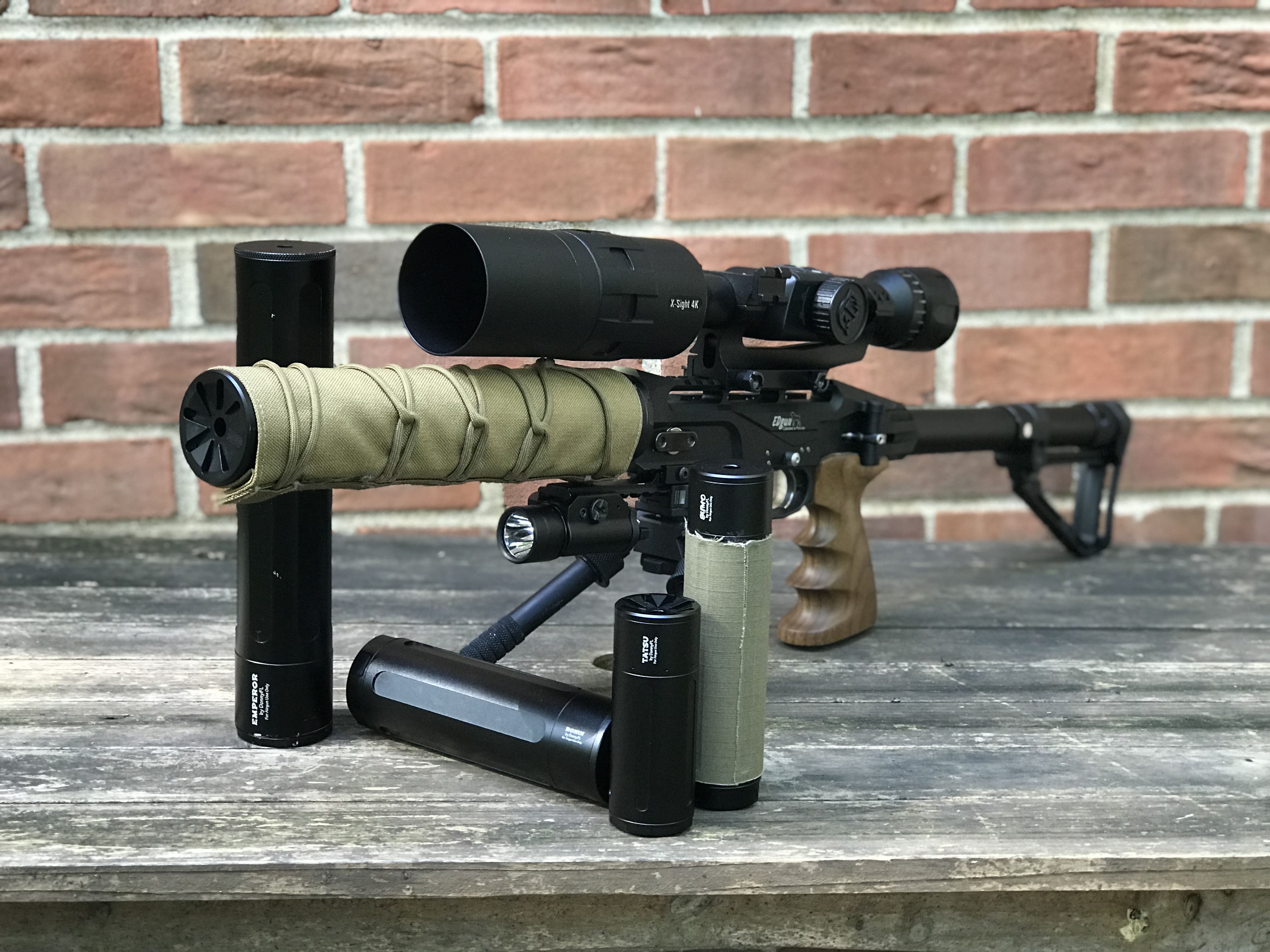 EDgun Leshiy, DonnyFL, Atlas Bipod, Streamlight TLR-1 IR