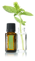 CPTG essential oil natural affordable sustainable healthcare
