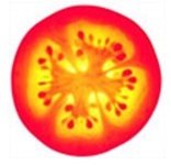 Tomato power of fruit amp; veg