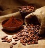 cacao
