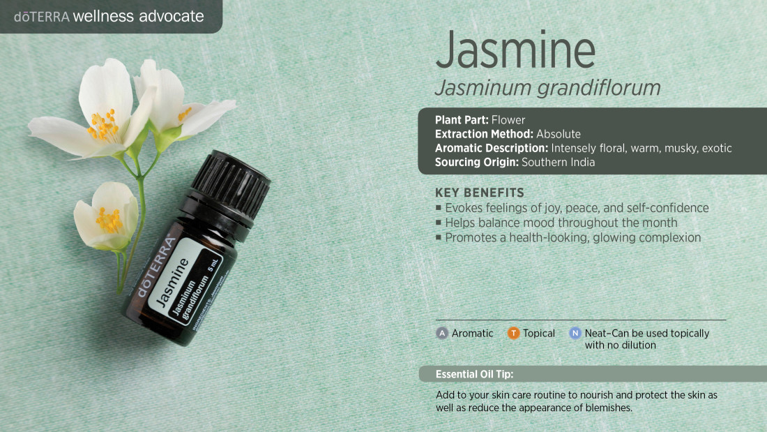 jasmine_singles_3000x1689