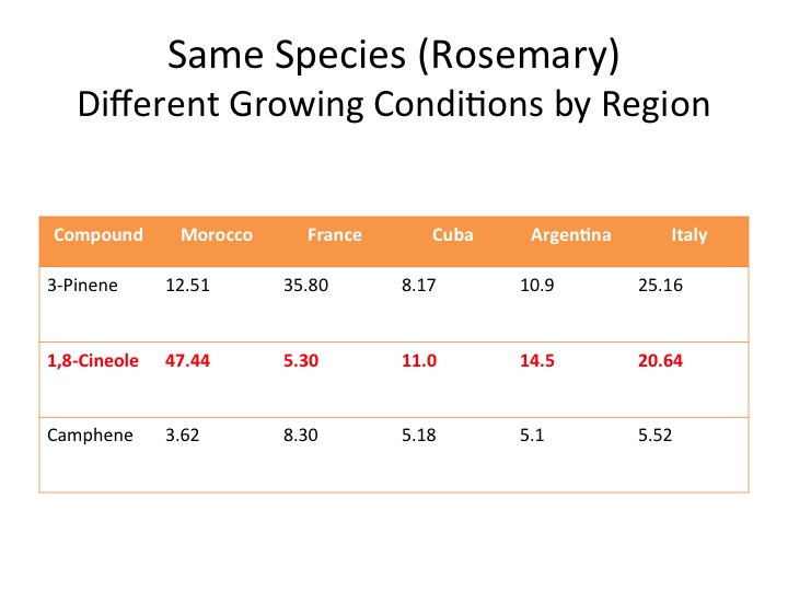 Cineole Content in Rosemary