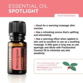 nepalese wintergreen